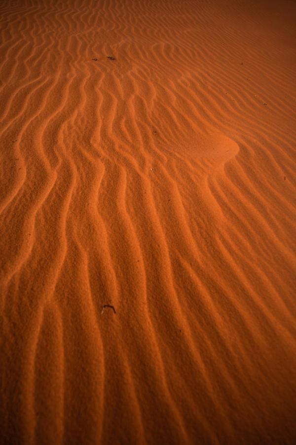 Hotel Stars Life Camp-Tour Wadi Rum Exteriér fotografie